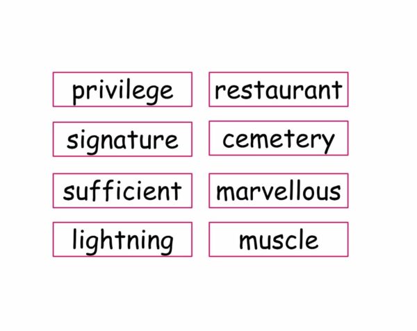Snakes and Ladders: Spelling - Image 4