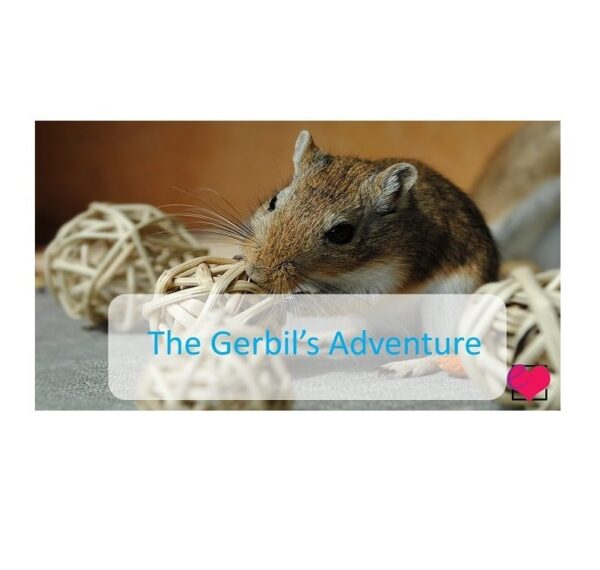 The Gerbil's Adventure comprehension pack