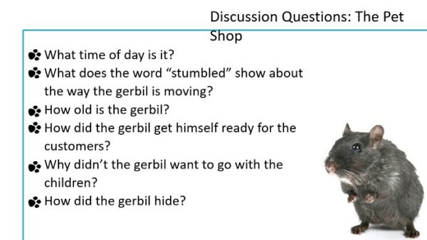 The Gerbil's Adventure comprehension pack - Image 4